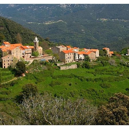 Casadimela Villa Porto-Vecchio  Buitenkant foto